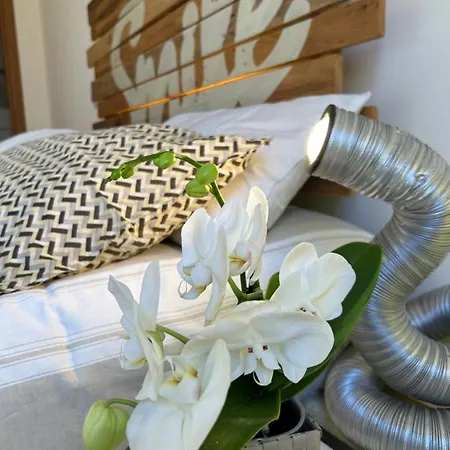 Vaticano Appartement